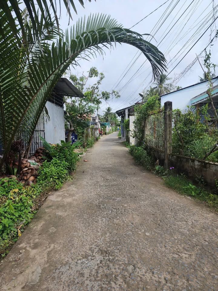 Đất nền Mỏ Cày Nam 715m² - Sổ đỏ chính chủ, ô tô vivu!