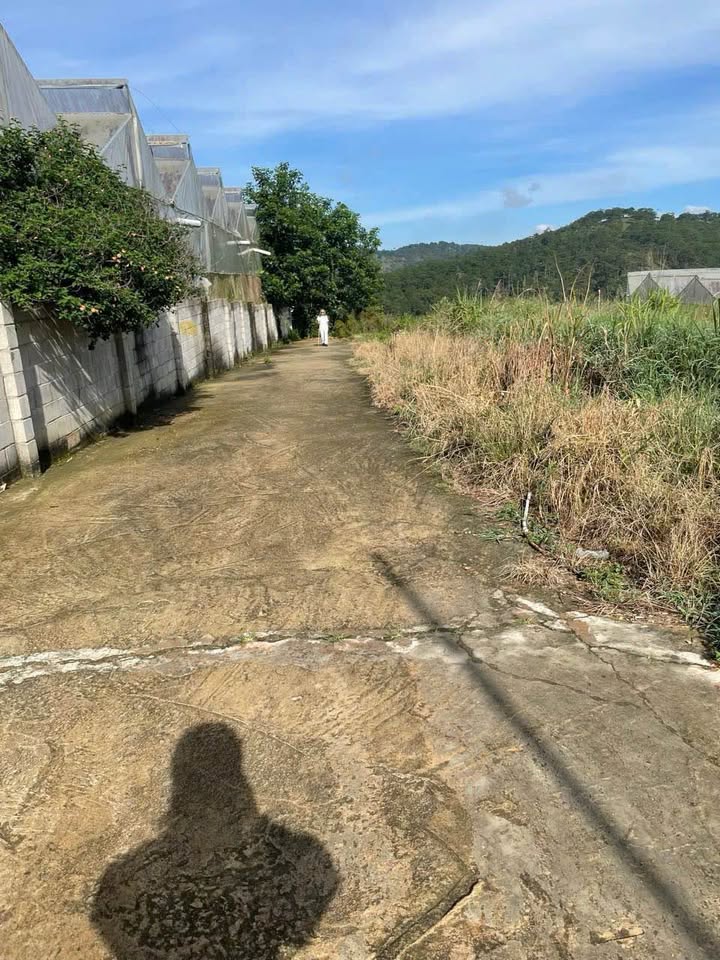 Bán đất Măng Lin Đà Lạt 241m² - Đường ô tô, Sổ đỏ chính chủ, Giá 4.1 tỷ