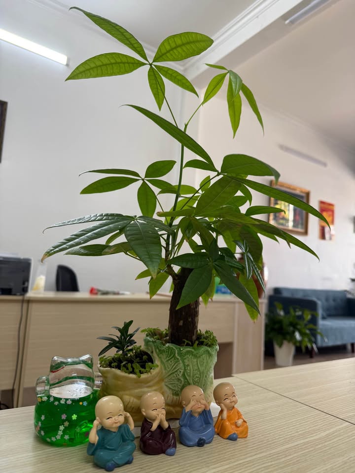 Nhà nguyên căn Phan Đình Phùng 17tr - Ô tô vào nhà