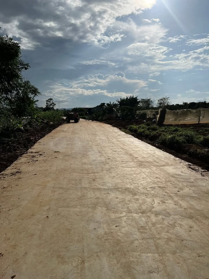 Đất Nền Mặt Tiền Bê Tông Đức Trọng 1000m² - Sổ MTC Sẵn Sàng