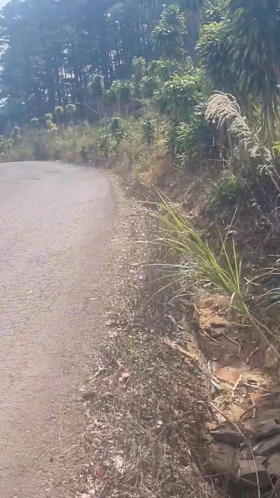 Đất nền Nam Ban 8500m² giá 2xxx tỷ - Sổ đỏ chính chủ