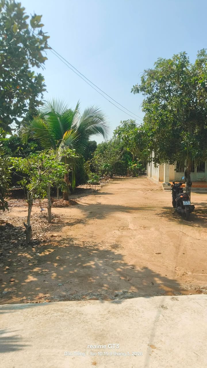 Đất nền Bến Cát 175m² 280 triệu - Sổ đỏ chính chủ