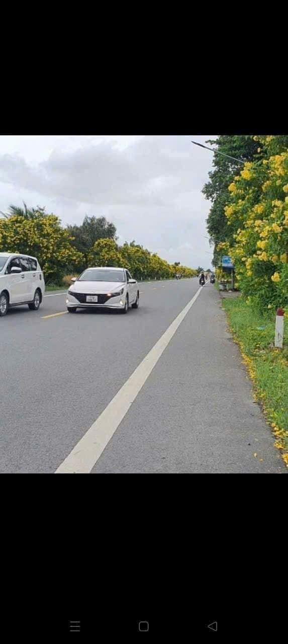 Đất nền 3600m² mặt tiền Tỉnh lộ 922, Cần Thơ - Sẵn sổ hồng, giá tốt