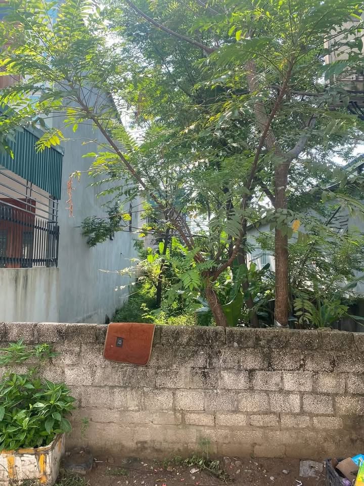 Đất nền Trần Nhật Duật Sầm Sơn 105m² 1,6 tỷ - Sổ đỏ