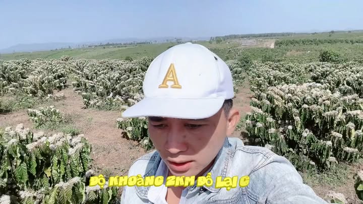 Đất Vườn Lộc Ngãi Bảo Lâm 8500m² - Sổ Hồng Riêng, Mặt Tiền Đường Dài