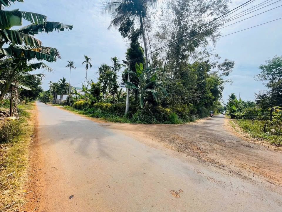 Bán Nhanh Đất Vàng Phường Tân Lập, Buôn Ma Thuột 125m² - Sẵn Sổ Hồng