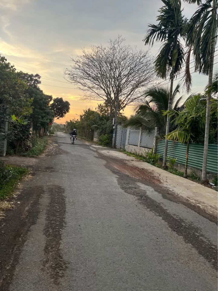 Đất nền Tân Lập BMT 175m² giá 1.39 tỷ - Sổ đỏ chính chủ!