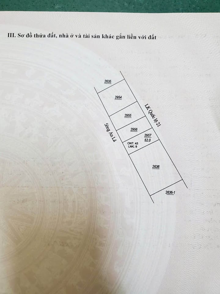Bán Đất Mặt Tiền Đặng Xuân Bảng, Nam Định - 52m², Kinh Doanh Sầm Uất