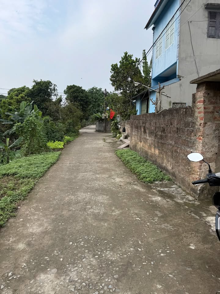 Đất nền Quang Trung Nam Định 75m² hơn 600 triệu - Đường ô tô