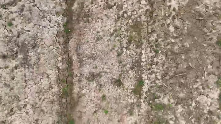 Đất vườn Quản Bạch Cao Lãnh 1730m² 3 tỷ - Ô tô vào thẳng