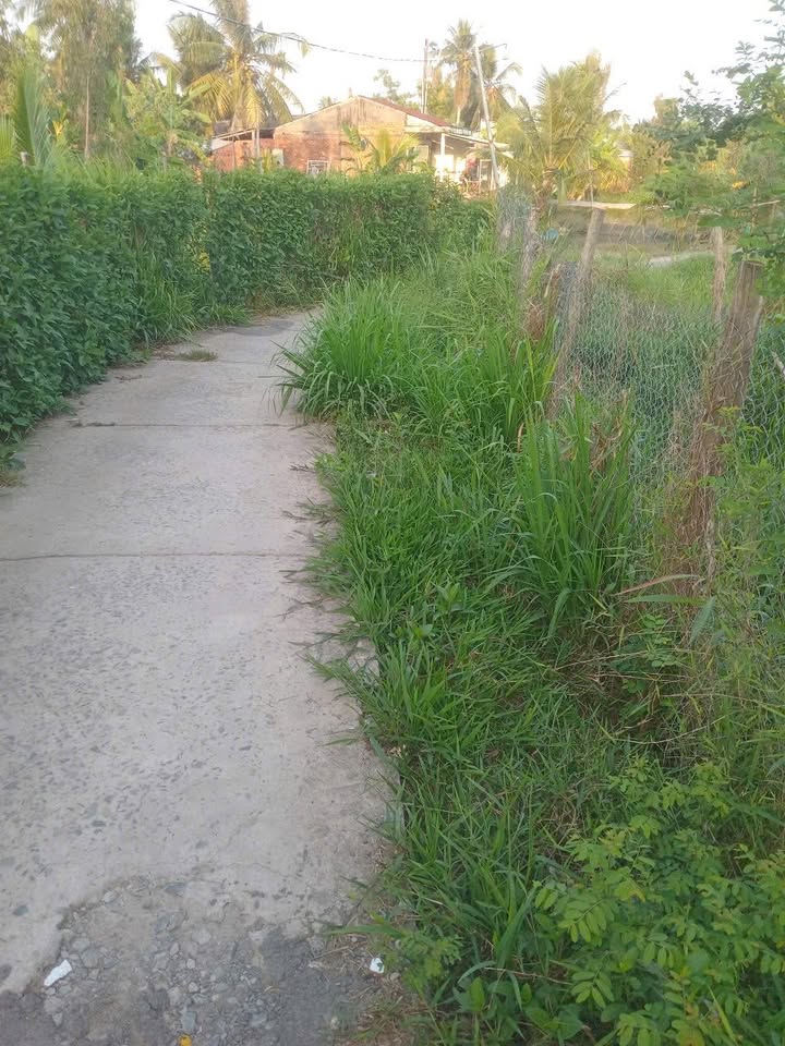 Đất vườn Đông Bình, Bình Minh 349m² - An yên tĩnh lặng, giá tốt!