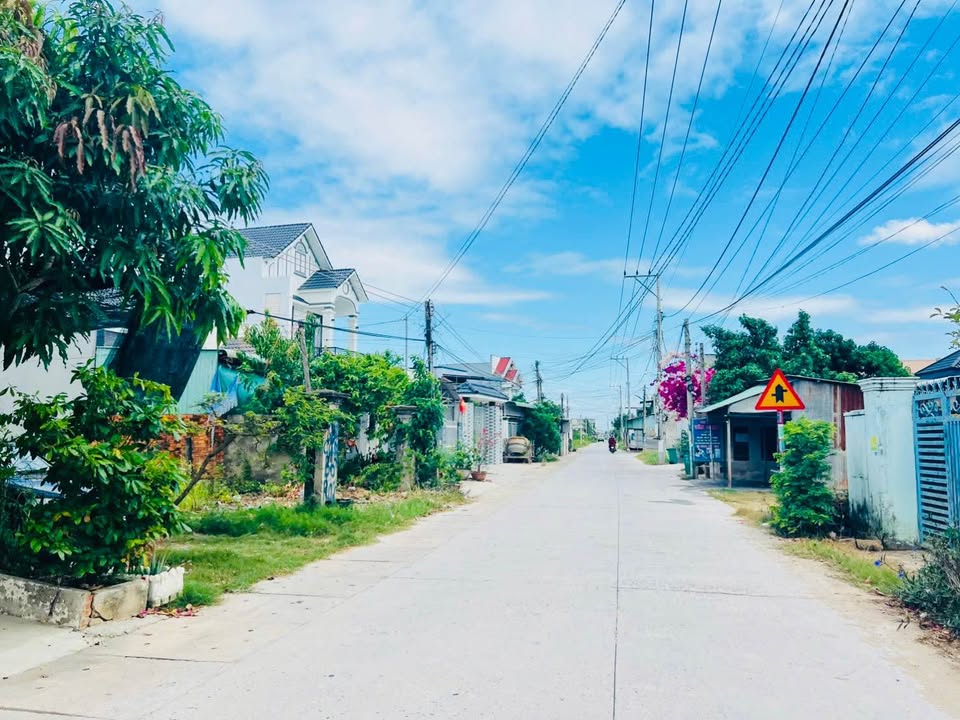 Đất Nền 100m² Thổ Cư, Mặt Tiền 5m Trục Chính Cá Đồng, Bắc Bình - Giá Tốt 790 Triệu