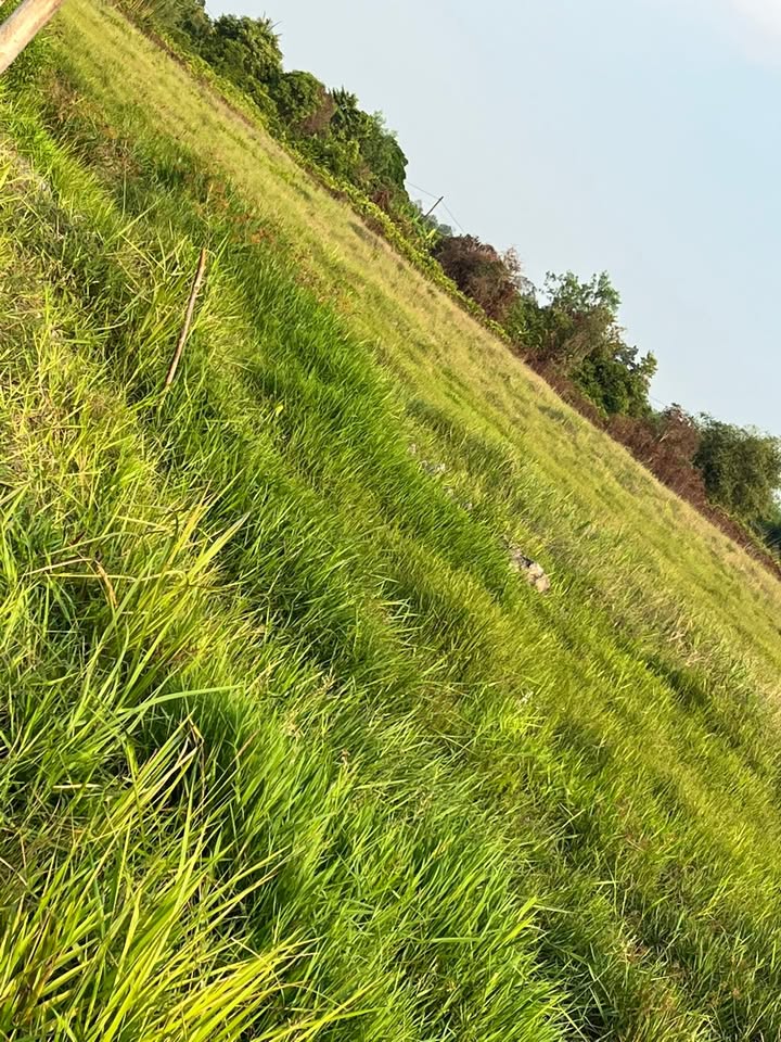 Đất nền Trung An Củ Chi 2400m² chỉ 1.68 tỷ - Tiềm năng tăng giá!