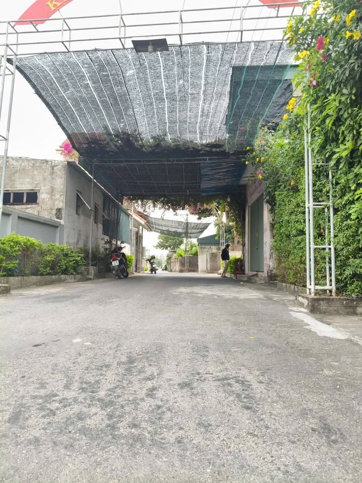 Đất thổ cư Tiền Hải 84m² 1.5 tỷ - Sổ đỏ chính chủ