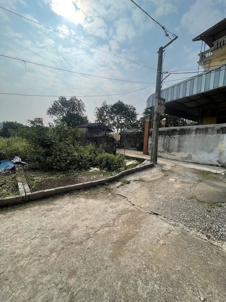 Đất nền Thường Tín 126m² Sổ đỏ chính chủ - Tiềm năng sinh lời!