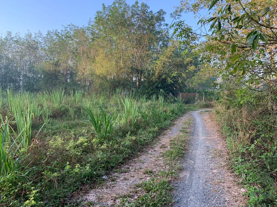 Đất thổ cư Gò Dầu, Tây Ninh 400m² - Sổ hồng sẵn, giá đầu tư 14 tỷ