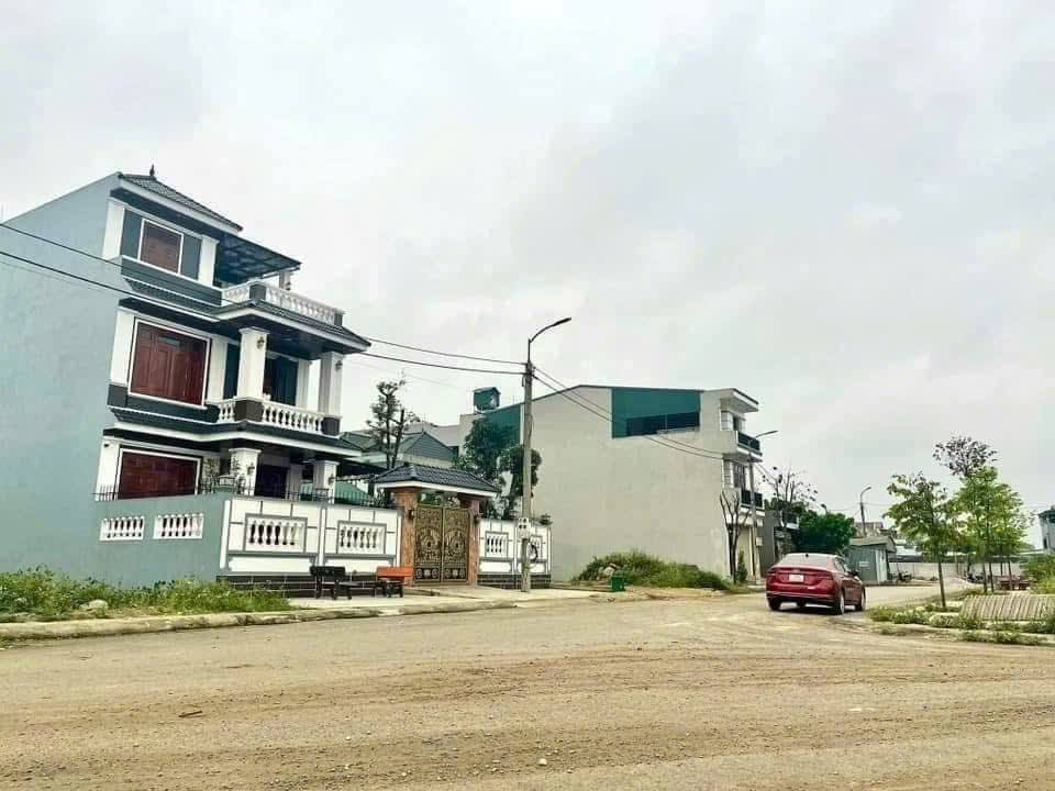 Đất nền Rừng Thông 100m² Thanh Hóa - Tiềm năng tăng giá vượt trội!