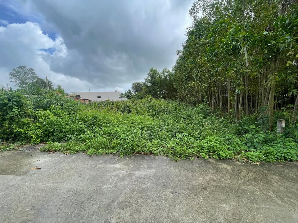 Đất nền Hòa Phong, Đà Nẵng 300m² - Sổ đỏ chính chủ, công chứng ngay!