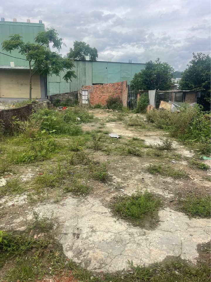 Đất nền Hoàng Văn Thái 127m² Liên Chiểu - Sổ đỏ chính chủ!