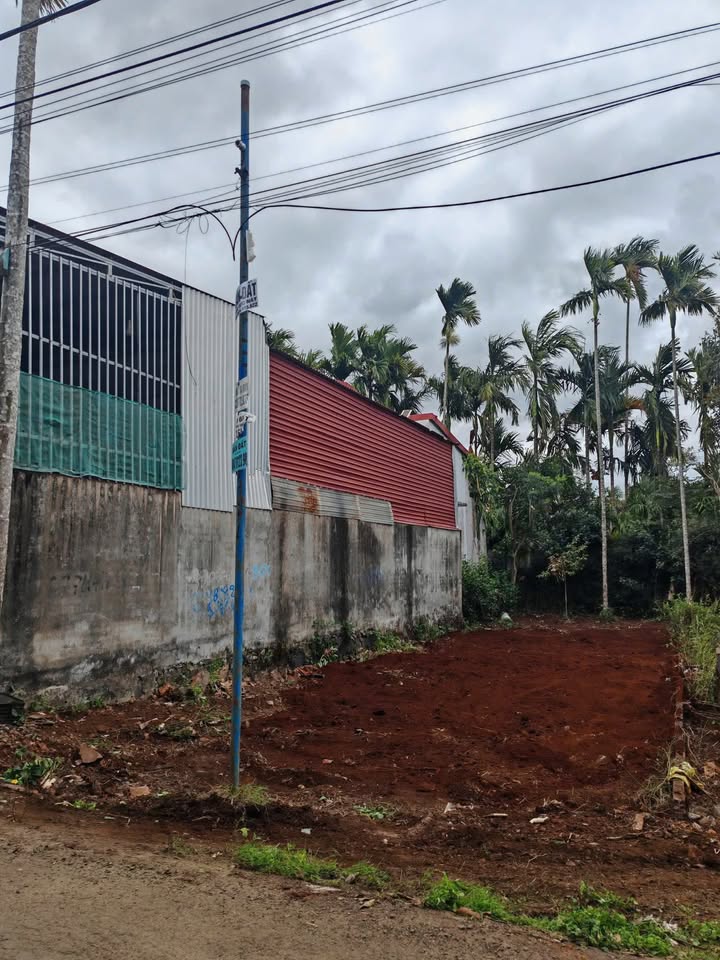 Đất nền Tân Lập 139m² - Buôn Ma Thuột - Vị trí vàng, kinh doanh thuận lợi!