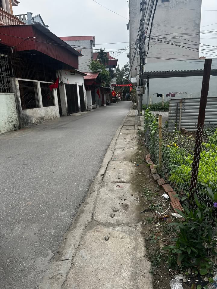 Đất nền Hưng Yên 65m² - Tiềm năng tăng giá vượt trội!