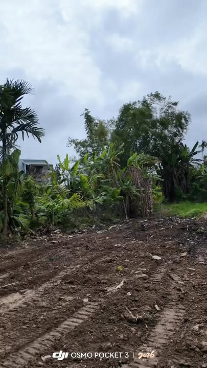 Đất Duy Phước 381m² 1 tỷ - Thổ cư xây tự do gần Hội An