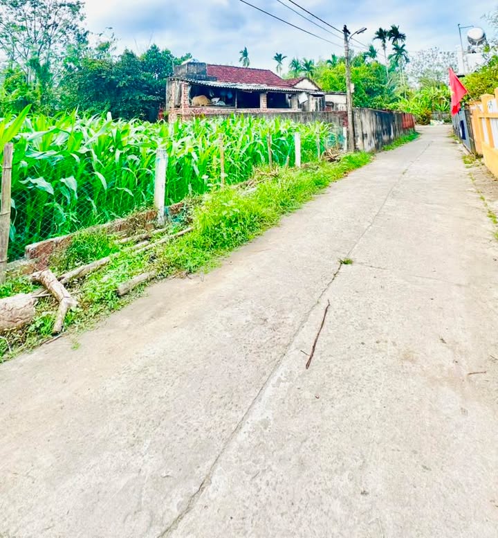 Đất nền Đại Hiệp, Đại Lộc 180m² - Sổ đỏ chính chủ, xây dựng tự do!