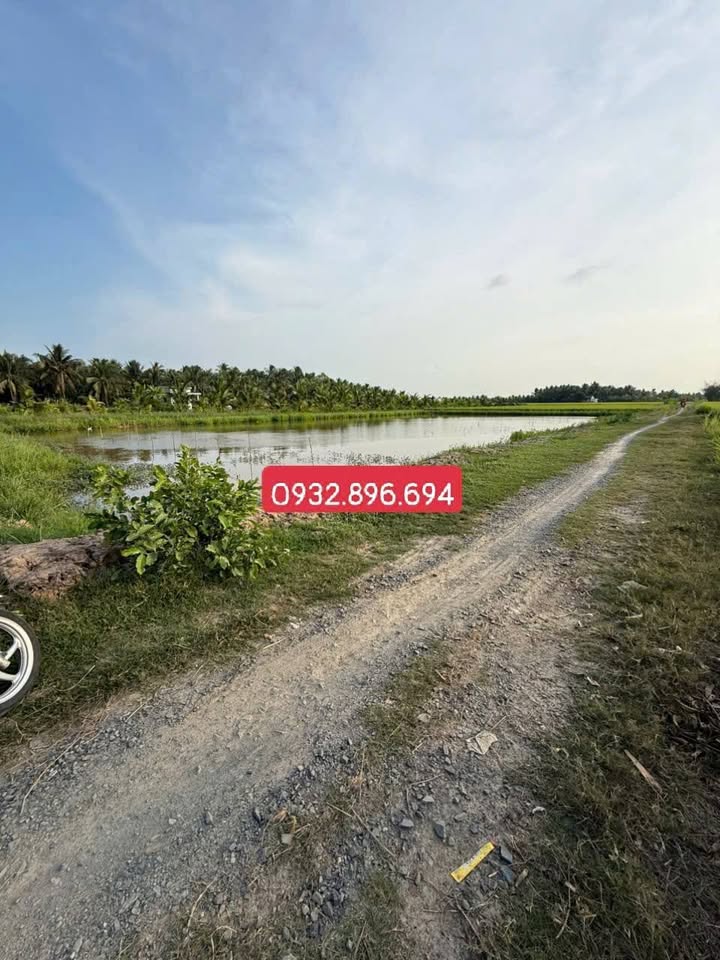 Đất Huyền Hội Càng Long 2.113m2 750 triệu - Sổ đỏ rõ ràng