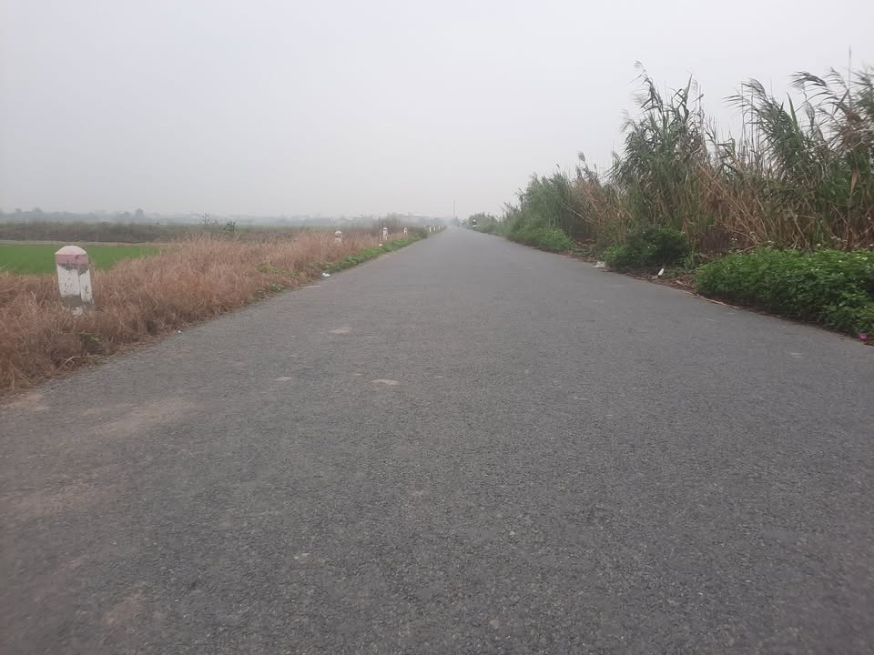 Đất nền Thái Bình 100m² - Mặt tiền kinh doanh đường DH20, Trần Lãm - Giá đầu tư 1.4 tỷ