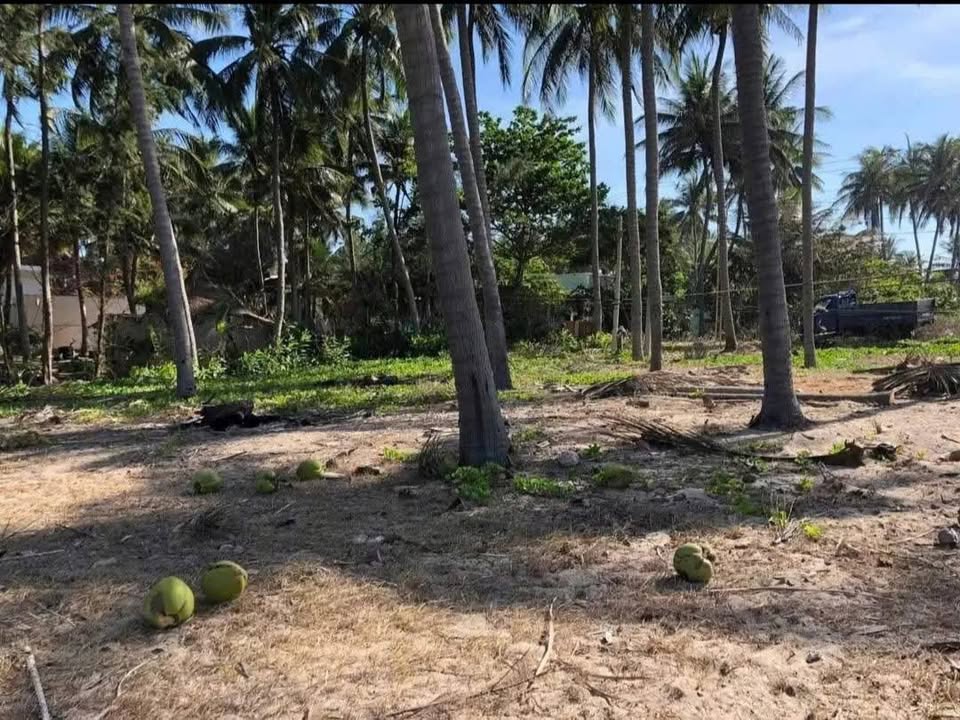 Đất Vàng Mặt Biển Mũi Né 3566m² - Kinh Doanh & Nghỉ Dưỡng Lý Tưởng