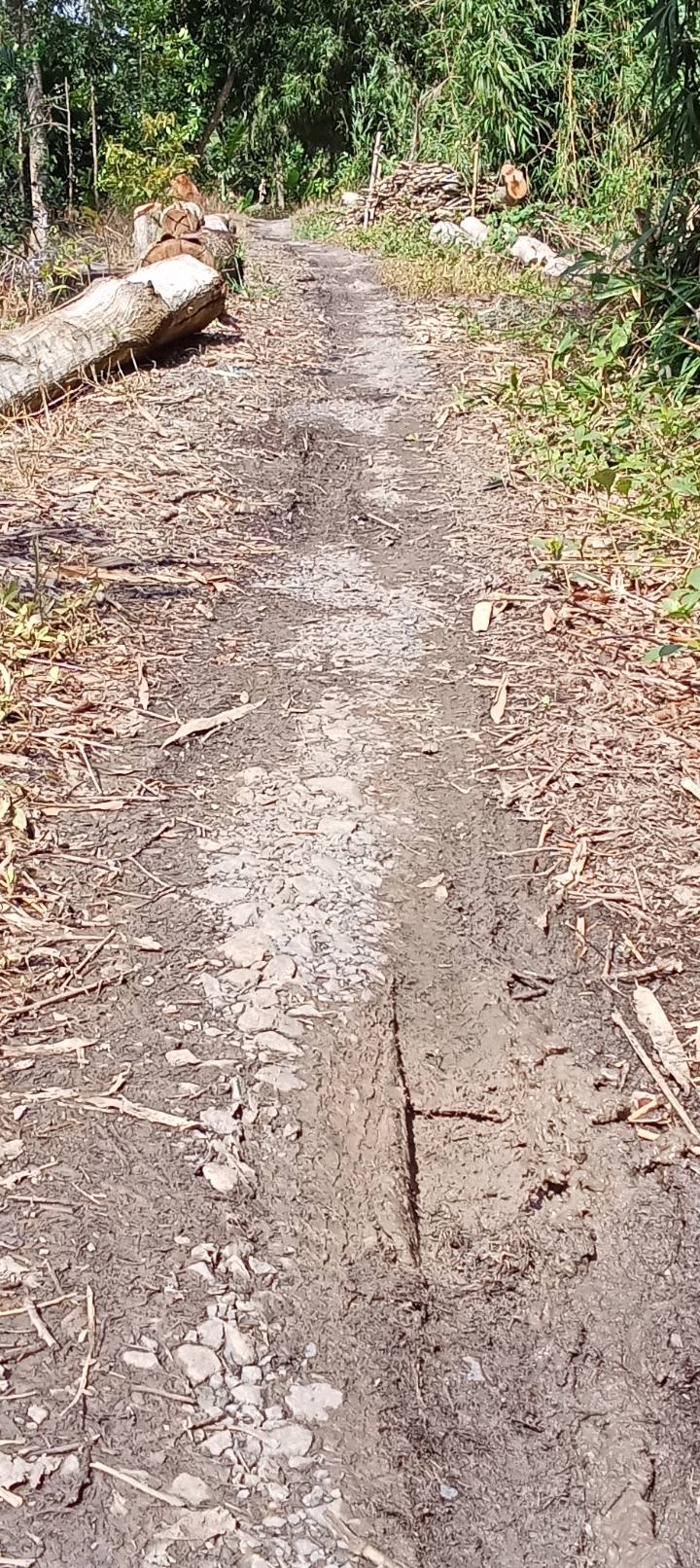 Đất Vườn Kế Sách 11200m² - Đầu Tư Dài Hạn, Giá Tốt