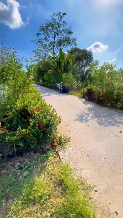 Bán Đất Vườn 1100m² Cần Thơ - Sổ Thổ Cư, Lộ Ô Tô Giá 1.2 Tỷ