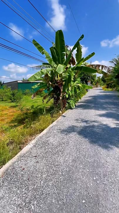 Đất Nền Cần Thơ 2000m² - Sổ ONT, Ngang 18m, Giá 1.6 Tỷ