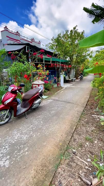 Bán Đất Vườn Hậu Giang 7000m² Giá 250 Triệu - Sẵn Sổ Hồng