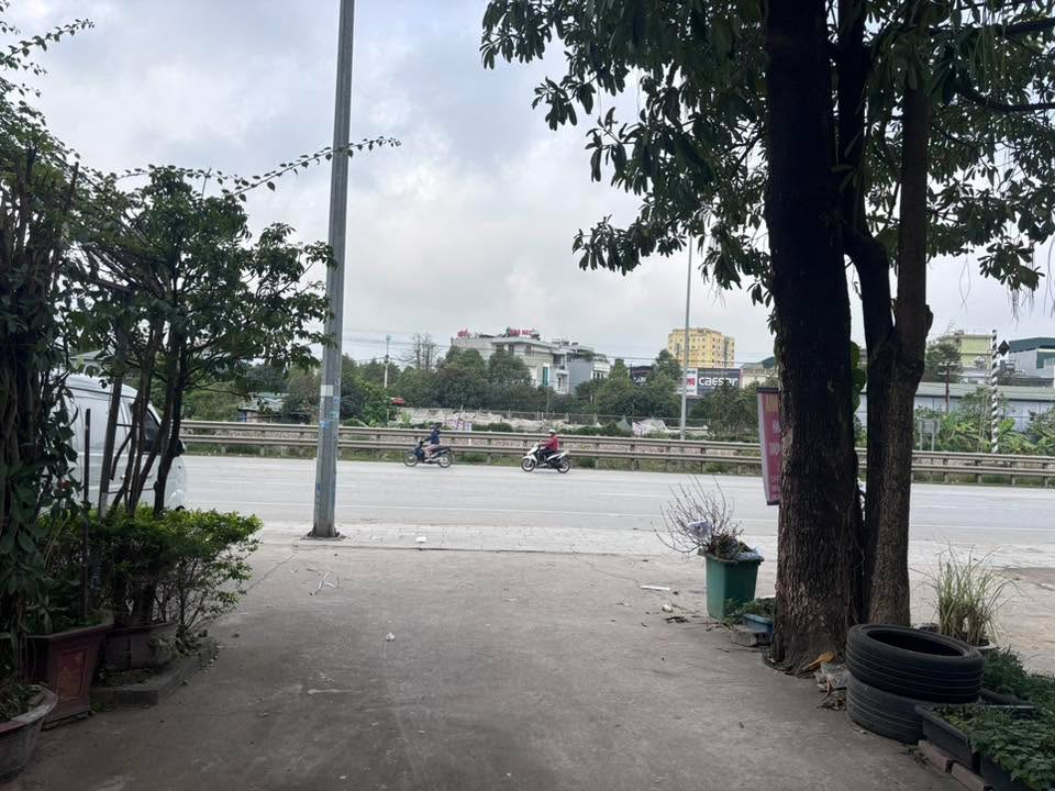 Nhà Phố Thanh Hóa Mặt Tiền 304m² - Vị Trí Đắc Địa, Kinh Doanh Vô Đối!