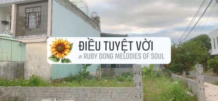 Đất nền Hòa Xuân 181.5m² - Sổ đỏ chính chủ, vị trí vàng!