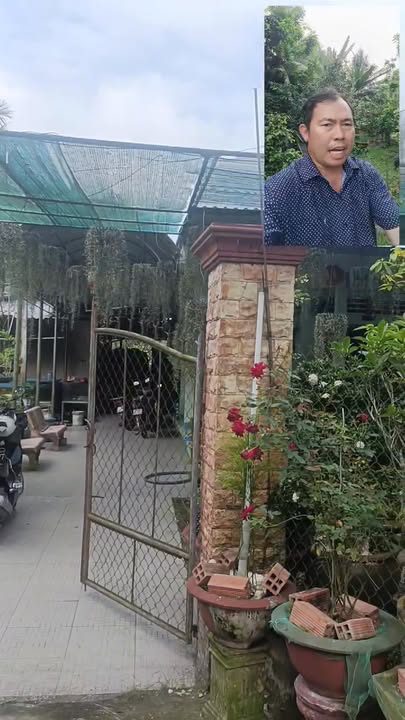 Bán Gấp Nhà Vườn 3000m² Thổ Cư Tiền Giang - Giá Tốt