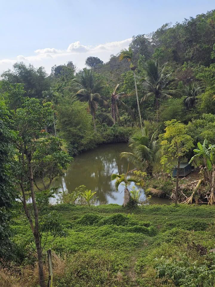 Đất nền Buôn Ma Thuột 2340m² - Cách Vành đai 10/3 chỉ 200m, Xe công vào tận nơi