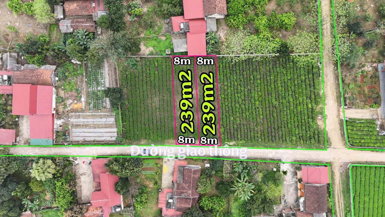 Đất nền Võ Miếu Thanh Sơn 239m² giá hơn 300 triệu - Đường to ô tô, xây dựng tự do!