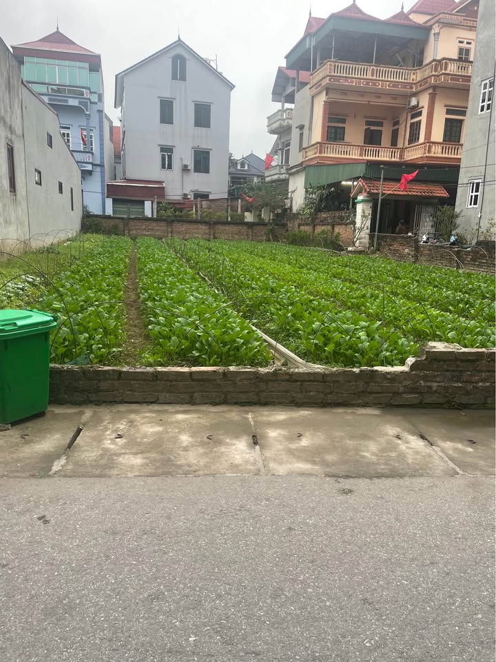 Đất Nền Tiền Phong Mê Linh 73m² Sổ Đỏ Full Thổ Cư - Giá Đầu Tư 2 Tỷ