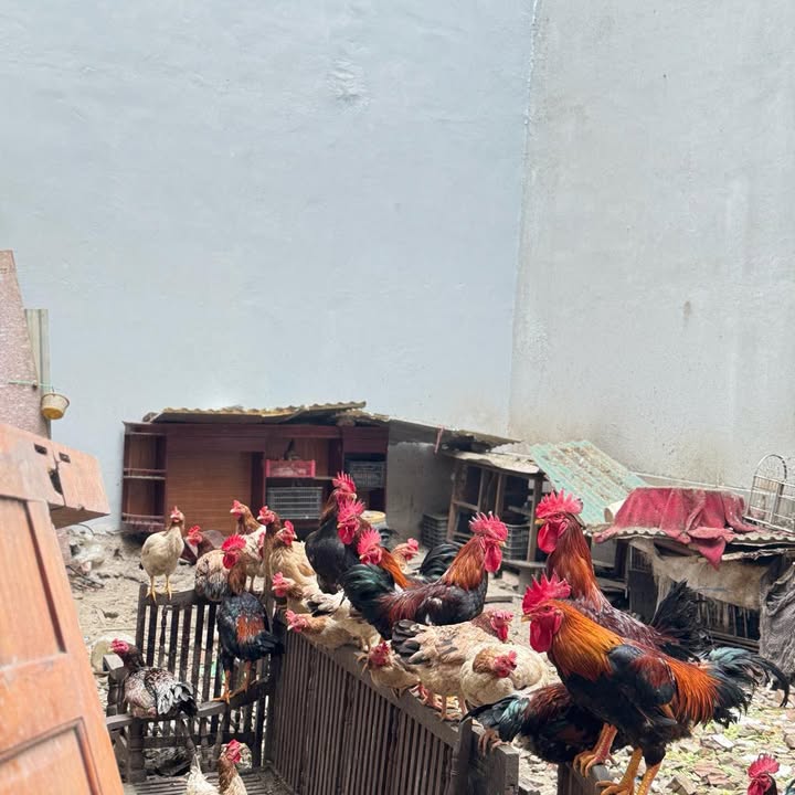 Đất nền An Dương Vương 55m² - Mặt tiền 6.3m - Sổ đỏ chính chủ