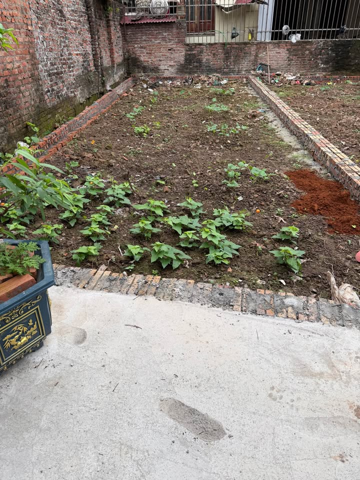 Bán Đất Thị Trấn Như Quỳnh 41m² - Sổ Đỏ Chính Chủ - Giá Nhỉnh 2 Tỷ