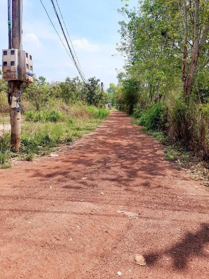 Đất Vườn Long Nguyên Bàu Bàng 4860m² - Sổ Đỏ Sẵn Sàng, Giá Đầu Tư 5 Tỷ