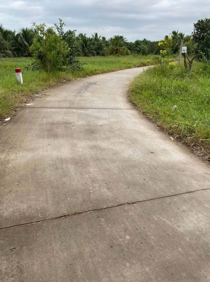 Đất Vườn Dừa Xiêm 3600m² Sổ Hồng Riêng - Sát KCN Giao Long, Bến Tre