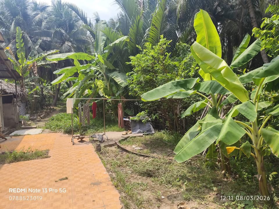 Đất nền Xã Thanh Tân, Mỏ Cày Bắc 1324m² giá 1.4 tỷ - Sổ đỏ chính chủ