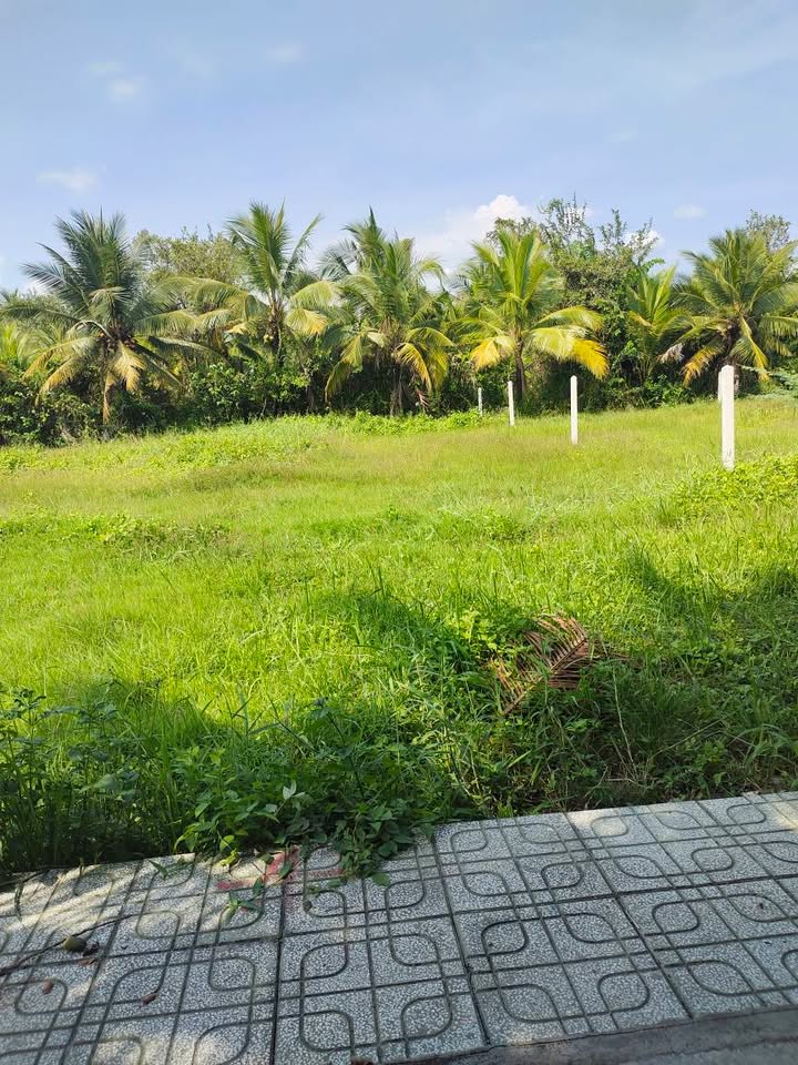 Đất nền Mỹ Tho 150m² 750 triệu - Thổ cư 100%