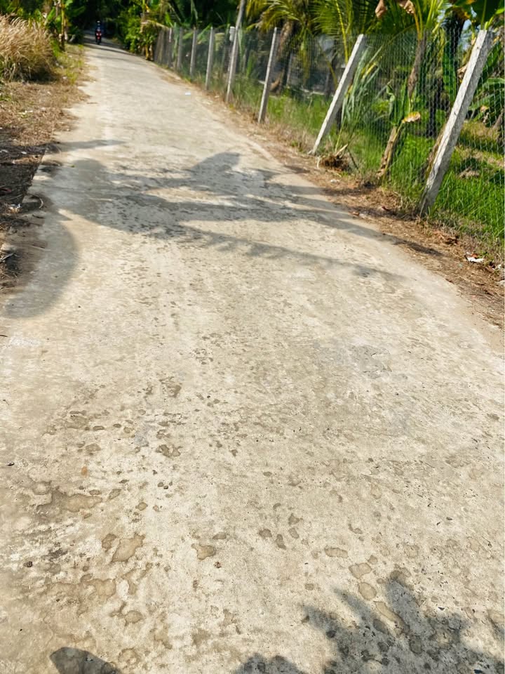 Đất vườn Thành Triệu Bến Tre 6300m² - Sổ đỏ chính chủ!