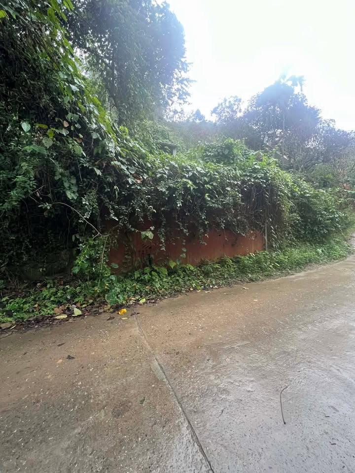 Bán Đất Vườn Nghỉ Dưỡng 2040m² Thạch Thất - View Hồ Thơ Mộng