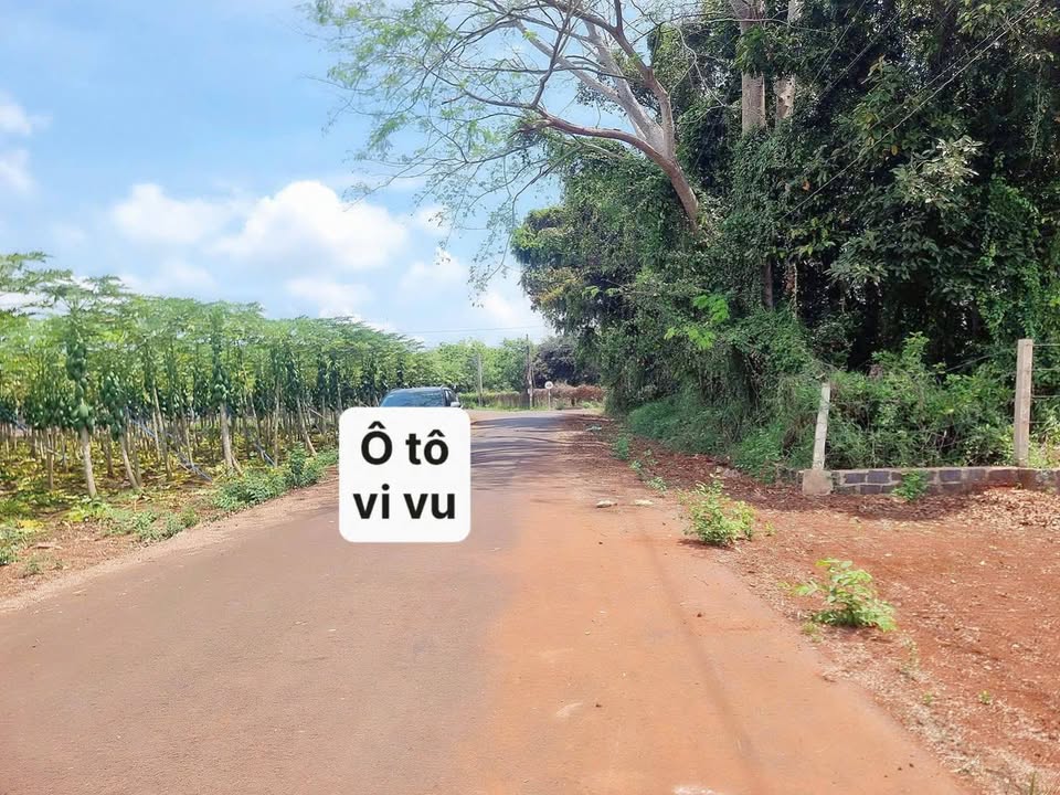 Đất nền Long Phước, Thủ Đức 1000m² - Sổ đỏ chính chủ, đường nhựa 13m