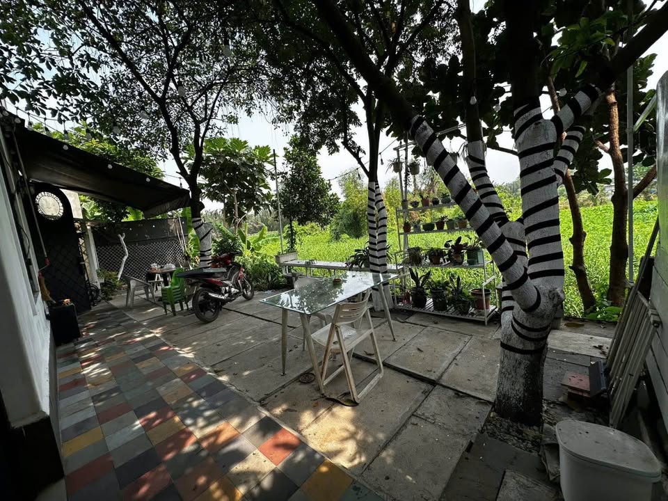 Nhà phố KDC Hưng Phú 100m² giá 8.5 tỷ - Vị trí đẹp, sân vườn thoáng!